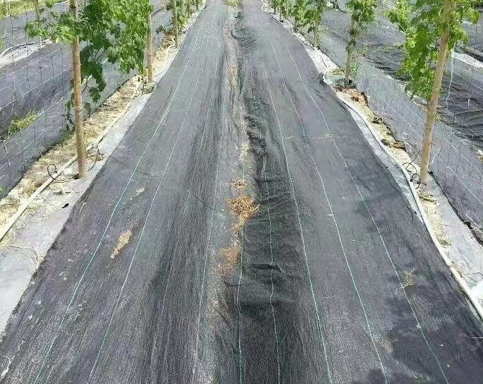 防草布的用途及效果防草布又稱之為“園林地布”、“雜草抑 制席”、“抑草布”，是一種縱橫編織的塑料編織布，透氣性好、滲水快、防水 治雜草生長(zhǎng)的一種園藝和農(nóng)業(yè)用地面防草布。可以有 效抑制各種雜草的生長(zhǎng)，由于這種地面防草布的透氣性好，滲水快，使得植物根部的吸收水分能力得到提高，有益于植物的生長(zhǎng)，防止根部腐爛，單相線標(biāo)志的設(shè)置，使的在溫室內(nèi)或室外擺放花盆或安排栽培基質(zhì)時(shí)，可根據(jù)標(biāo)志線來(lái)準(zhǔn)確進(jìn)行安排，提高勞
