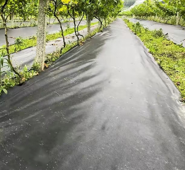 一畝地的防草布多少錢