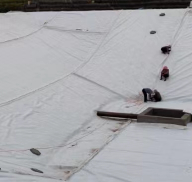 復合膜的功能與用途