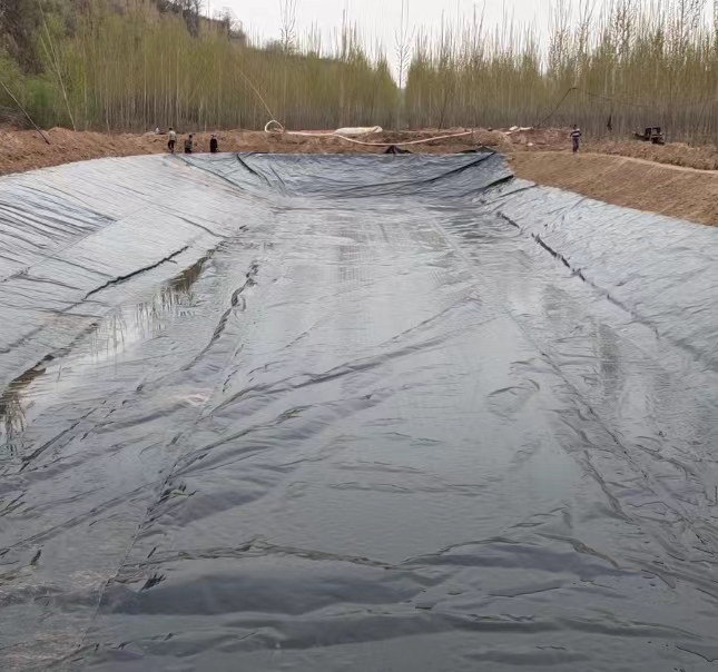 魚塘用土工膜還是用戶復合土工膜